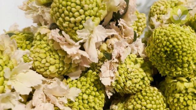 Mayesh Minute: Miami Direct BoxLots April 13 смотреть онлайн