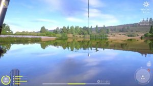 сура жерех-РР4-RF4-Русская рыбалка 4