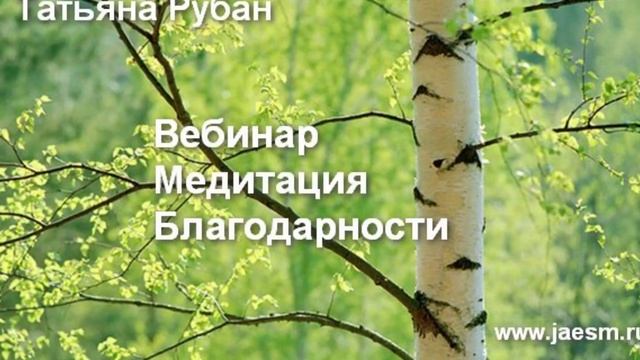 Вебинар Медитация Благодарности смотреть онлайн