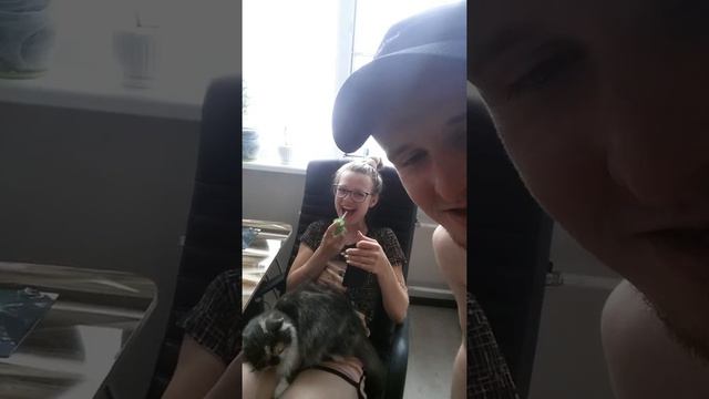 Реклама тантум верде форте (Панин такого в рот не сувал) смотреть онлайн