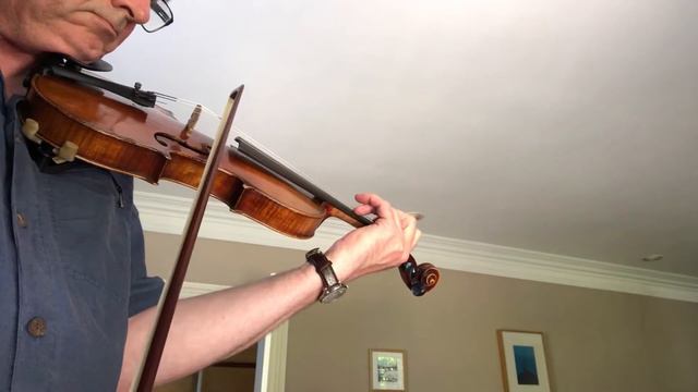 Lockdown sale of violin professional violinist смотреть онлайн
