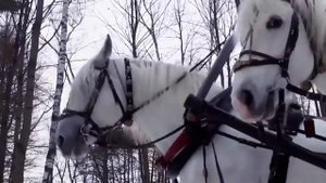 романс "Однозвучно гремит колокольчик". (песнь ямщика) Traditional russian folk song.