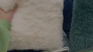 Покупки из Леруа Мерлен | разговоры про будущее | покупка шавермы ?