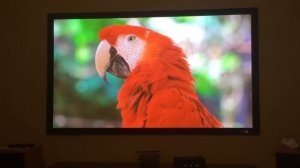 DIY screen vs $200 Qualgear screen