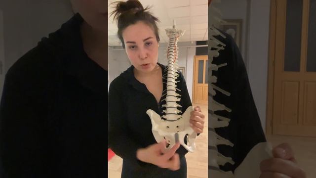 Важный принцип Пилатеса