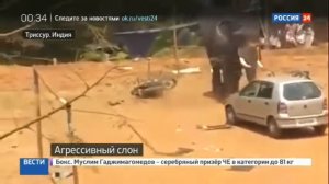 Разгневанный слон напал на городской праздник!!!