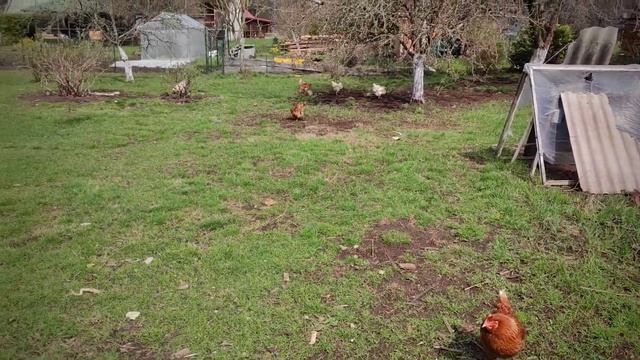 2s. дача строим домик для гостейкаркасный домик карниз крыши OSB стены ставим окна.