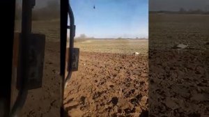 Как избавится от хруща ( личинка майского жука )