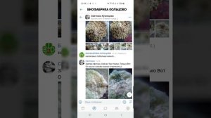 ВОТ И НАСЕКОМЫЕ, ЗАРАЖЕННЫЕ ГРИБОМ || Микорад Инсекто: встречайте первые результаты нашего конкурса