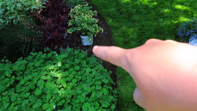 Planting In My Parent’s Garden! 🥰🌿// Garden Answer