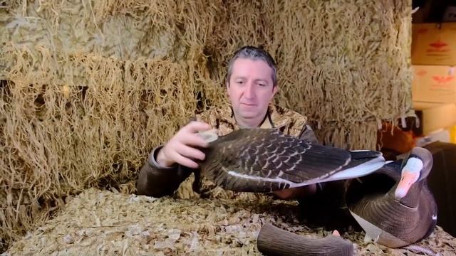 Плавающие чучела гусей Белолобый Softplast Живое перо  Чучела гусей Аквазон