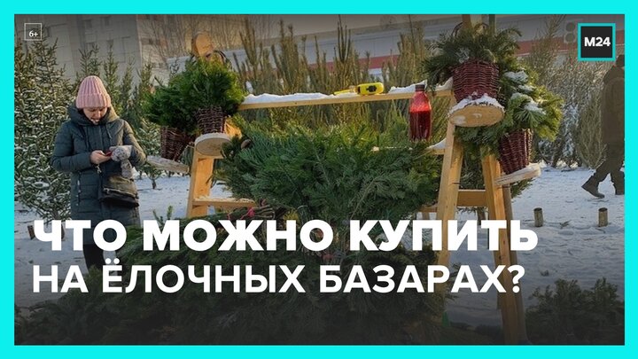 Москвичам рассказали, что можно купить на елочных базарах - Москва 24