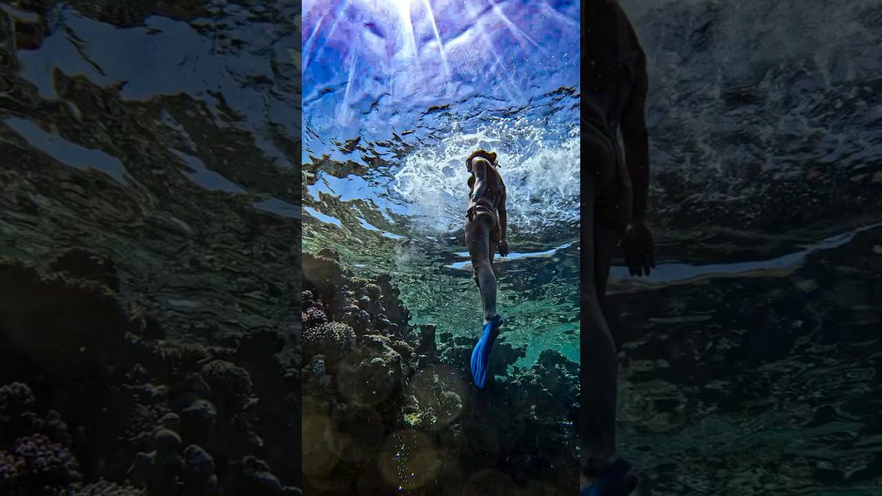 Что скрывает красное море? #фридайвинг #freediving #underwater #gopro #apnea