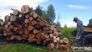 распил дров зимани 365 Про