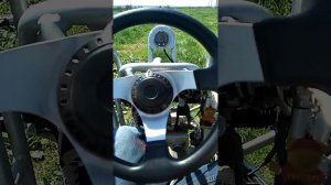 Багги PGO BugRider 250 Single seat