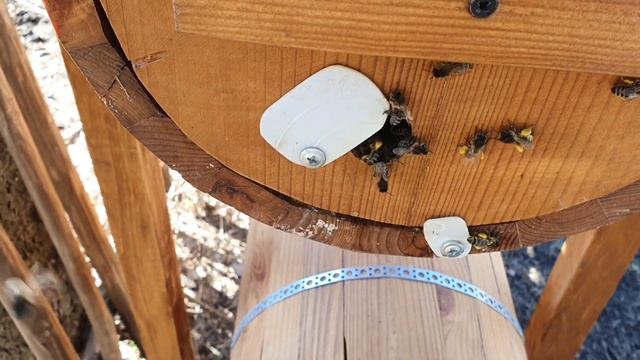 УНИКАЛЬНАЯ УМНАЯ КОЛОДА ДЮКАРЕВЫХ В РАБОТЕ, ВЕСЕННИЕ РАЗВИТИЕ. смотреть онлайн