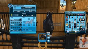 Покупка лошади в стар стейбл онлайн ?