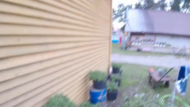 ПЕТУНИЯ ТАЙДАЛ. ГИГАНТСКАЯ ПЕТУНИЯ. СЕЗОН 2019. смотреть онлайн