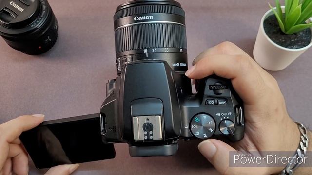 Canon 200D Mark II | Long term review with sample shots | Is it still aa good buy in 2022? смотреть онлайн