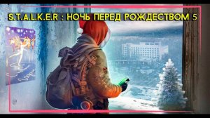 STALKER: Ночь Перед Рождеством 5