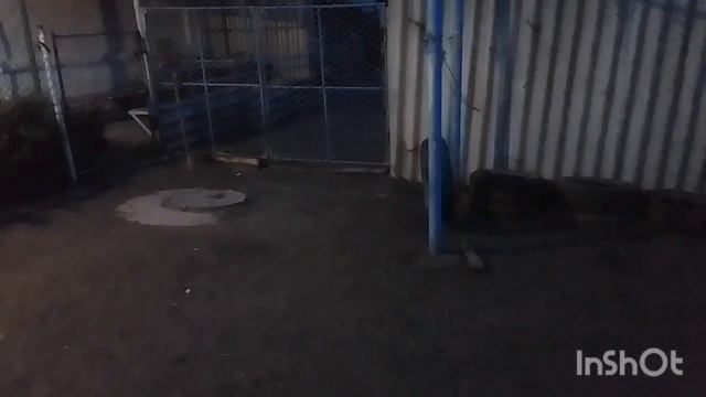 БОЛОТНАЯ АТАКА in real life!!!!!!