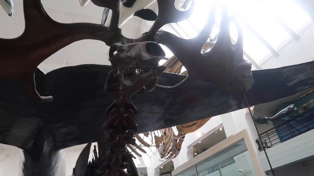 6 MUSEUMS IN A DAY (be nerdy with me in London) || Ruby Granger смотреть онлайн