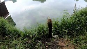 РЫБАЛКА НА ВОБЛЕРЫ УЛЬТРАЛАЙТ