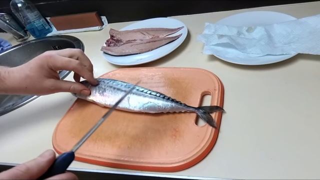 Разделка скумбрии. Как разделать скумбрию. Mackerel fish filleting