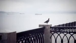 Фолк - группа 'Кумовья' - “Ах ночь голубая ночь“
