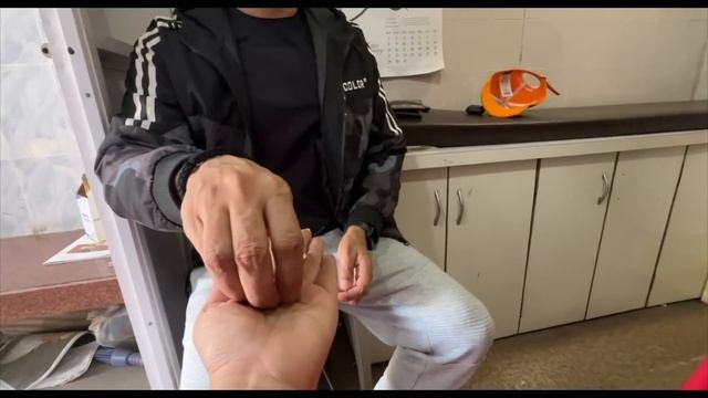 Dogs REACT to new HUSKY in the HOUSE?♀️ смотреть онлайн