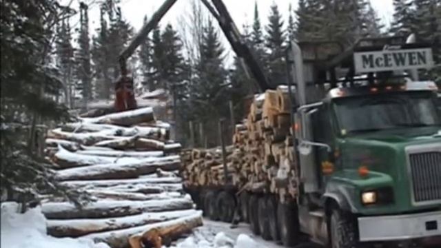 Лесовоз. Вывозка сортиментов с лесосеки сортиментовозом с гидроманипулятором.