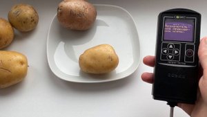 Проверяю картофель на нитраты.