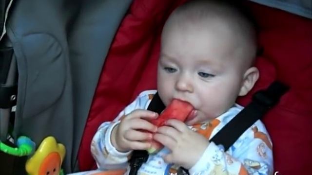 Реакция ребенка на Арбуз. Я плакал от смеха! смотреть онлайн
