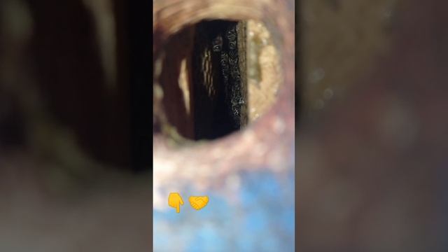 Вот что делают пчёлы зимой в улье! смотреть онлайн