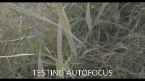 Quick Test with PANASONIC LEICA 12-60 f2.8 - f4.0 and Blackmagic Pocket 4k