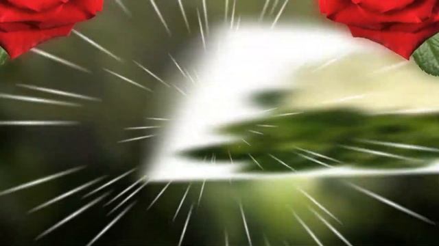 В.Королев _ Букет из белых роз. смотреть онлайн