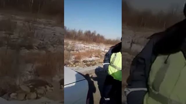 Понятые? Не, не слышали. Так работают сотрудники полиции Уссурийска смотреть онлайн