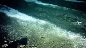 Интересные факты о Марианской впадине