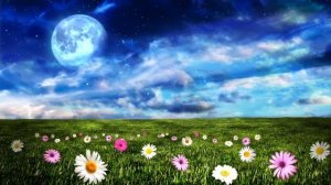 Расслабляющая дзен-музыка и звуки воды • Спокойная атмосфера для спа, йоги и релаксации