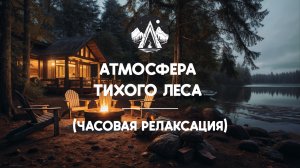 Атмосфера тихого леса