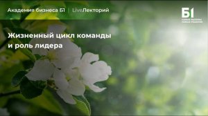 Вебинар "Жизненный цикл команды и роль лидера" Академии бизнеса Б1