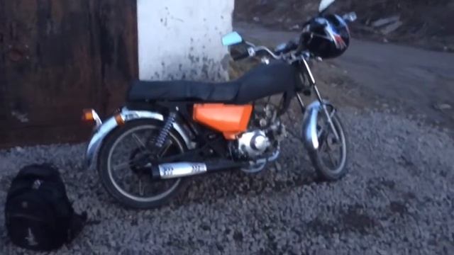 Новая жизнь Альфы смотреть онлайн