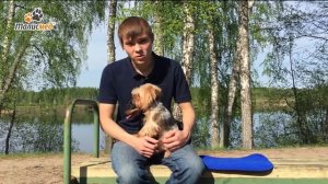 Отзыв заводчика о многоразовых пеленках для собак