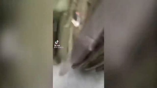 Засмеялся - подписался | Лучшие приколы | 336 секунд смеха смотреть онлайн