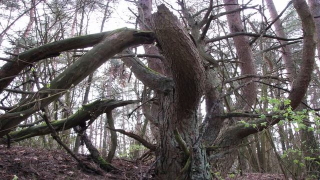 Эквивалент денег смотреть онлайн