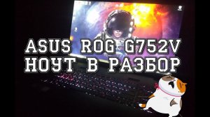 Балталогия: Профилактика ноут ASUS ROG G752V в капилку