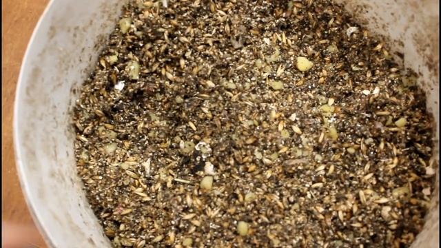 Начинающим куроманам. Комбикорм или мешанка?