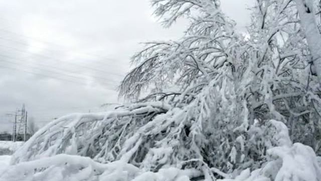 Зима в Отрадном смотреть онлайн