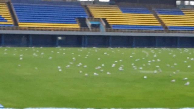 Чайки в Москве Стадион "Москвич" смотреть онлайн