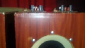 УМЗЧ с регулируемым выходным сопротивлением на TDA7293.